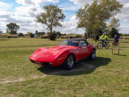 Old red sport 1970s Chevrolet Corvette C3 Stingray convertible roadster in the countryside. Nature, grass, trees. Classic racing muscle car. Copyspace