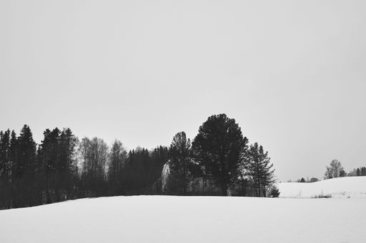A stunning winter scene of Lake Mjosa in Norway, blanketed in a layer of freshly fallen snow