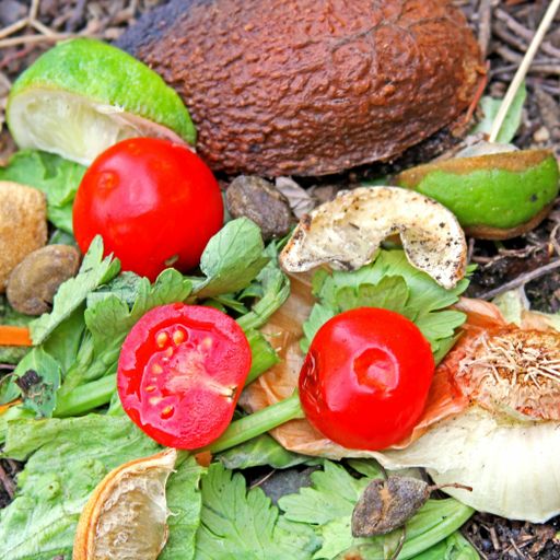 Close up,square crop, mixed nasty bad vegetable salad. Overhead of old dried avocado, tomato, lettuce, celery, lime, lemon, olives and an onion.