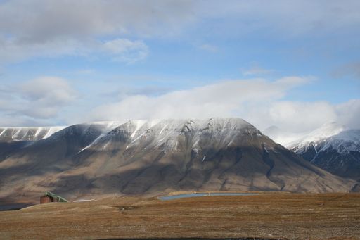 A lush green field near a small body of water with snow-capped mountains in the background