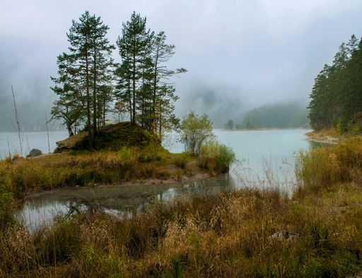 A lake Zugspitze surrounded by forest and fog
