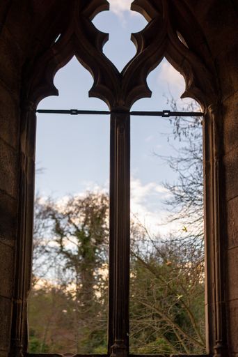 A vertical shot of an old window in the shape of an arch with the view of the park