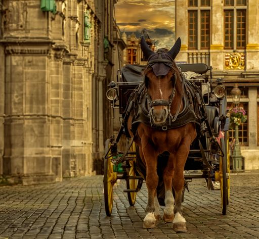 A horse-drawn carriage parked in the Grand Place in the center of Brussels, Belgium.