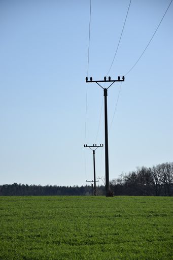 A vertical shot of а utility poles standing in the middle of a green field