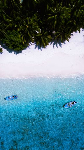 An aerial view of two boats sailing near the white sandy beach with palm trees