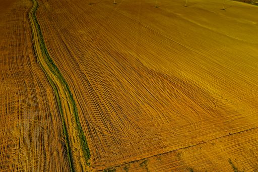 An aerial photo of a field covered in the grass under the sunlight