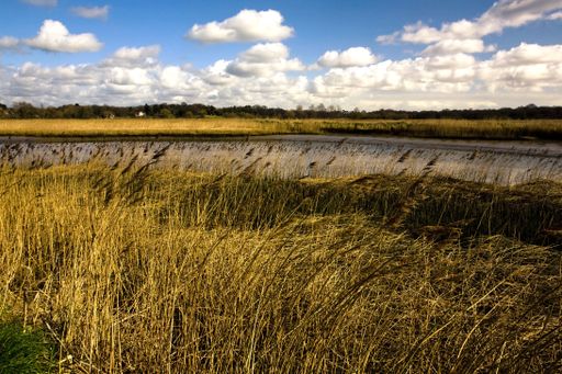 A field covered in the grass surrounded by the River Alde under the sunlight in the UK