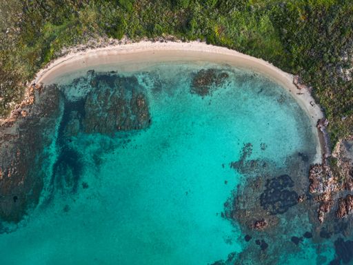 An aerial view of a pristine beach surrounded by lush green trees in a tranquil setting