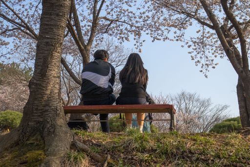 A young couple sitting on a park bench surrounded by trees.