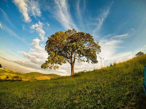 A beleza das montanhas de Minas Gerais!
