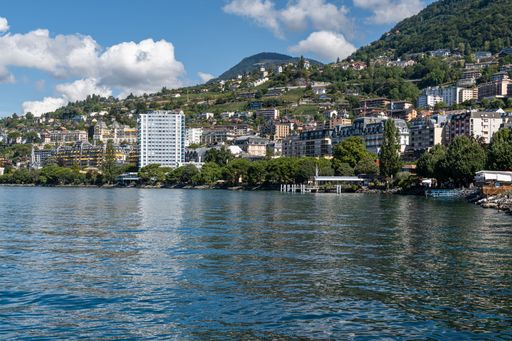 The Lake Geneva with a picturesque shoreline featuring an array of vibrant green trees and stunning buildings