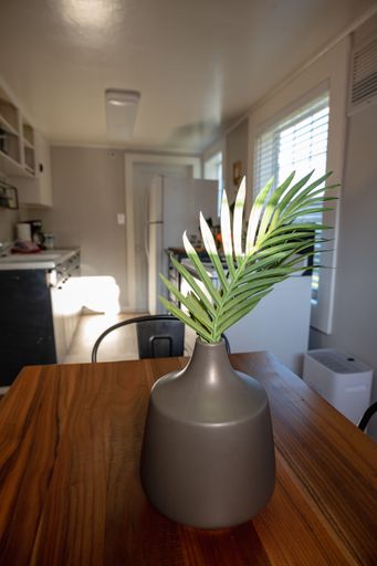 A ceramic vase containing a green artificial plant on a kitchen table