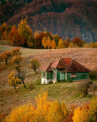 A traditional old house amongst a vibrant array of autumn trees, providing a picturesque backdrop in the midst of a peaceful landscape
