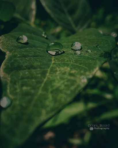 It's a picture of water droplets on a leaf