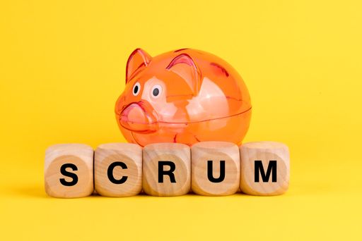 A plastic pig and word SCRUM formed with wooden blocks in the yellow background