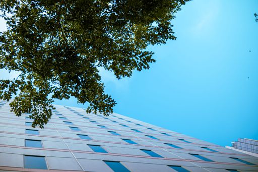 An unused building with a large tree in the foreground, captured from a low-angle view