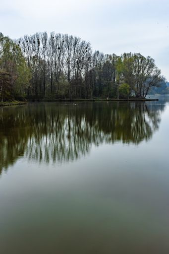 A vertical shot of a calm lake reflecting the trees under the cloudy sky