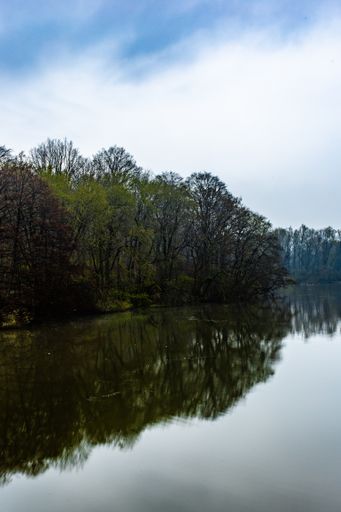 A vertical shot of a calm lake reflecting the trees under the cloudy sky