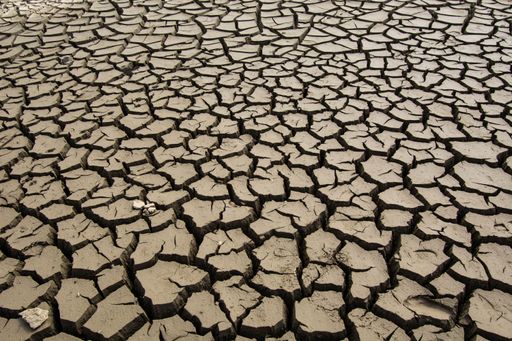 A dry, cracked landscape with patches of dirt scattered across its surface