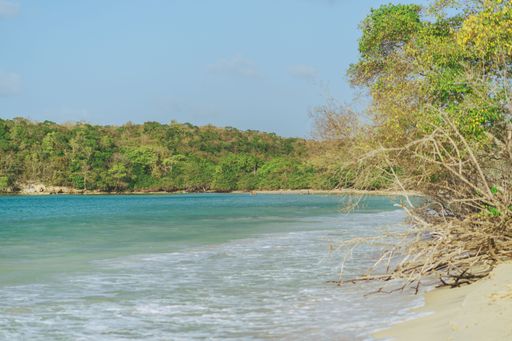 A scenic beach landscape featuring turquoise waters lapping against the shore with lush greenery.