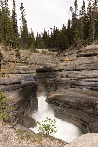 A tranquil mountain river winding through a lush landscape.