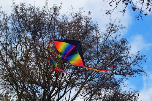 A kite caught in a tree. Apparently abandoned, he offers a colorful wind chime.