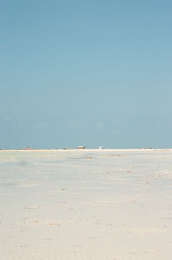 A vertical shot of a dry sea white sand under a cloudless blue sky