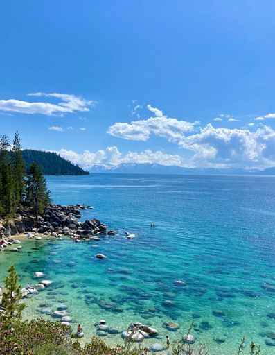 A breathtaking view of the ocean showing the deep blue waters contrasted with lush green trees and a bright, sun-filled sky