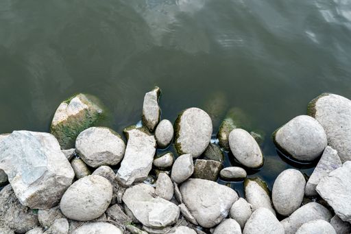A top view of rocks on the shoreline by the water