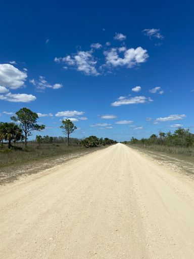 Big Cypress National Preserve in South Florida along County Road 839