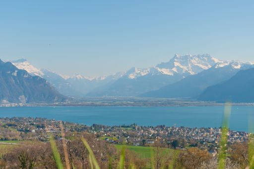 A peaceful view of the Geneva lake and Montreux under the swiss alps from Corsier, Switzerland