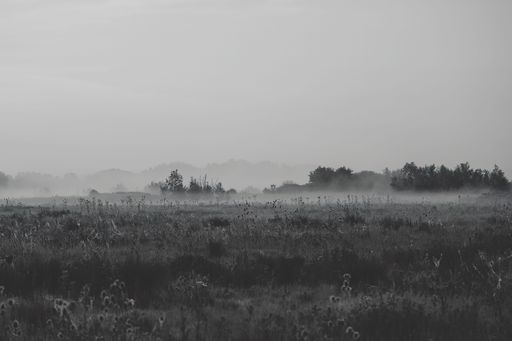 A beautiful sunset over a tranquil landscape shrouded in fog in an idyllic atmosphere in grayscale