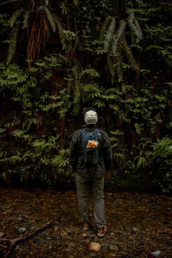 A closeup of man standing in fern canyon at redwoods national park