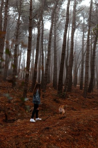 A vertical shot of a beautiful young woman with her dog in the forest surrounded by tall trees