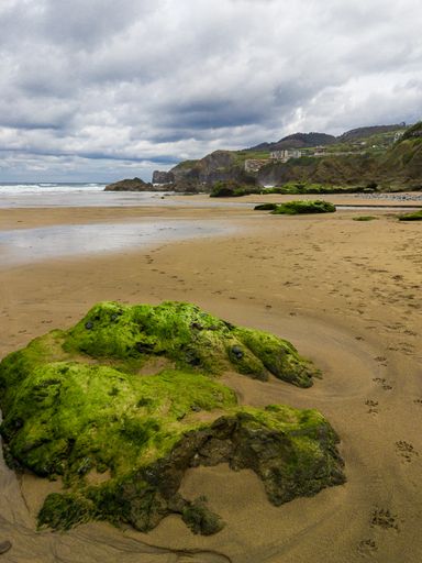 The moss-covered rocks on a sandy beach in cloudy weather