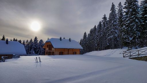 A beautiful view of wooden cottages in a snow-covered winter spruce forest under a cloudy sky
