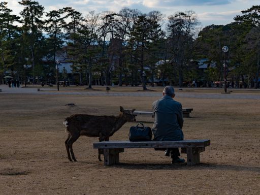 A young adult male sitting on a wooden park bench with a deer standing next to him