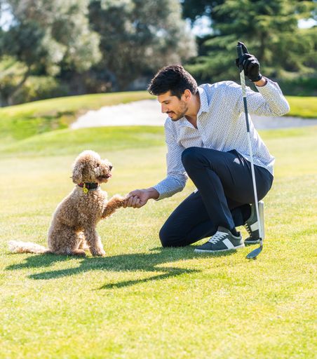 A young Caucasian male playing with his Goldendoodle dog on a professional golf course