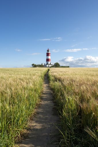 A walway leading to the Happisburgh Lighthouse through the scenic field