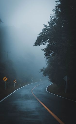 An eerily quiet road winding its way through a mysterious and fog-covered forest