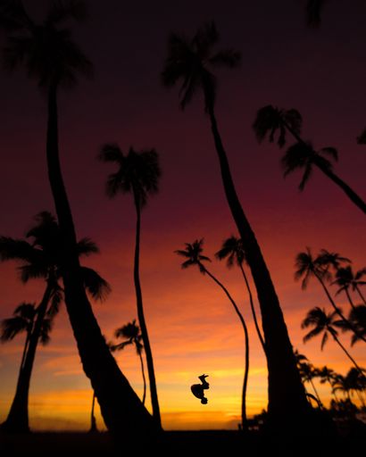 A beautiful shot of tall palm trees and a silhouette of a male during backflips during sunset