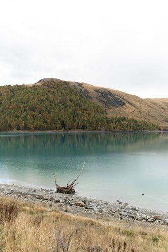 The color of the lake's water truly sets it apart from other lakes. It's a beautiful turquoise blue is a product of the surrounding glaciers.