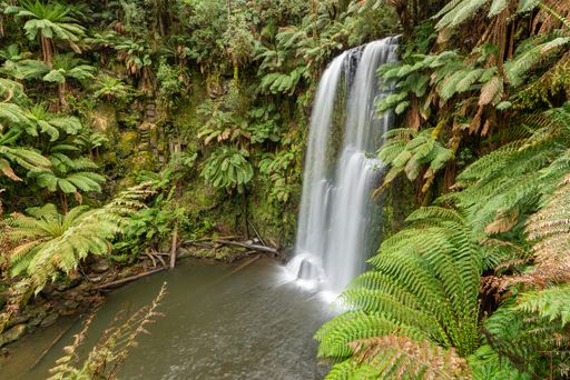 A waterfall surrounded by greenery and rocks under the sunlight in a forest