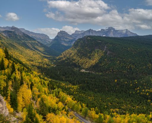 An aerial view of Fall foliage in Glacier National Park, Montana
