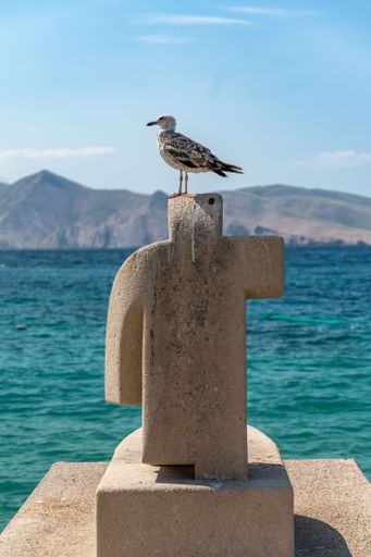 A herring gull bird perched atop a stone block in front of a vast body of tranquil blue water