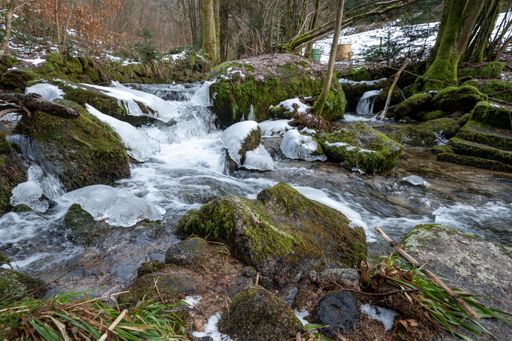A chilling view of flowing water with stone covered with green moss in the Black Forest in Germany