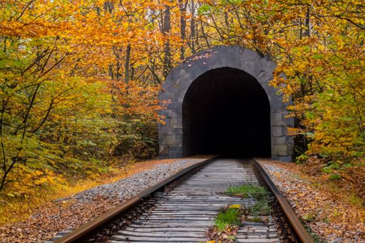 This stock photo features a scenic tunnel situated in the middle of a lush, forested area