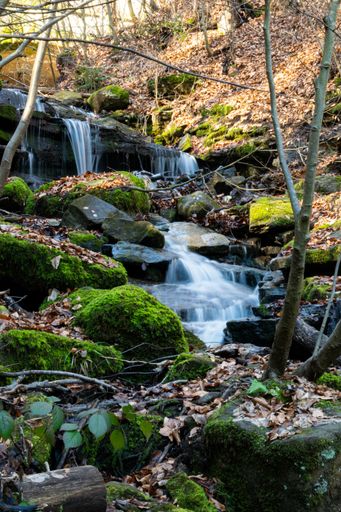 A vertical shot of a small waterfall cascading over the mossy rocks