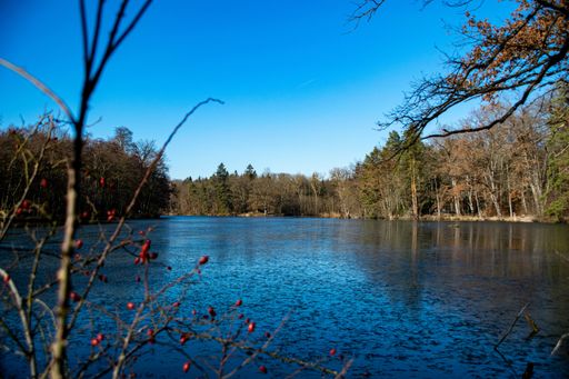 A mesmerizing view of a calm lake surrounded by trees under a blue sky