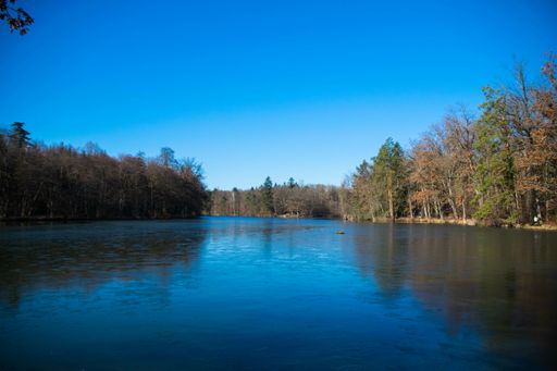 A mesmerizing view of a calm lake surrounded by trees under a blue sky